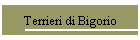 Terrieri di Bigorio